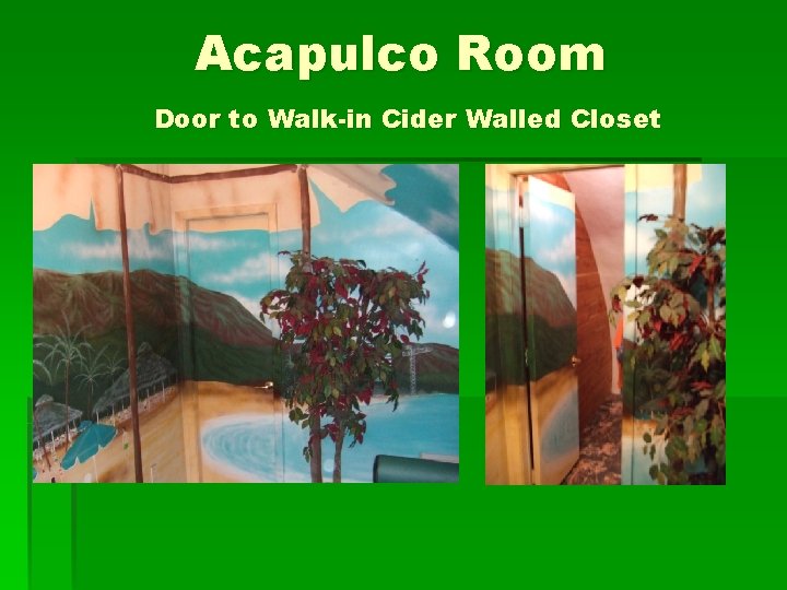 Acapulco Room Door to Walk-in Cider Walled Closet 