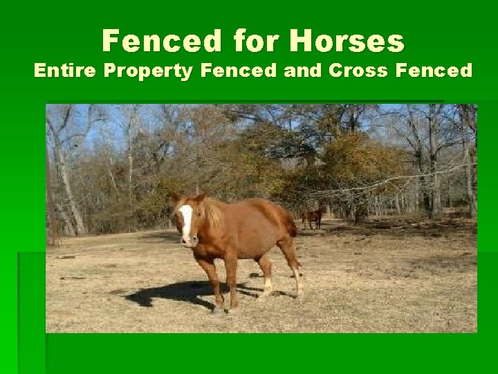 Fenced for Horses Entire Property Fenced and Cross Fenced 