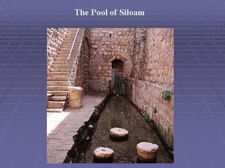 The Pool of Siloam 