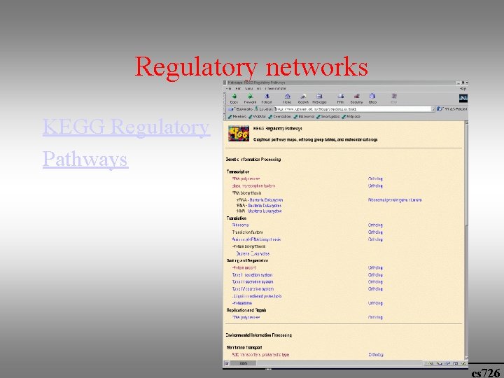 Regulatory networks KEGG Regulatory Pathways cs 726 