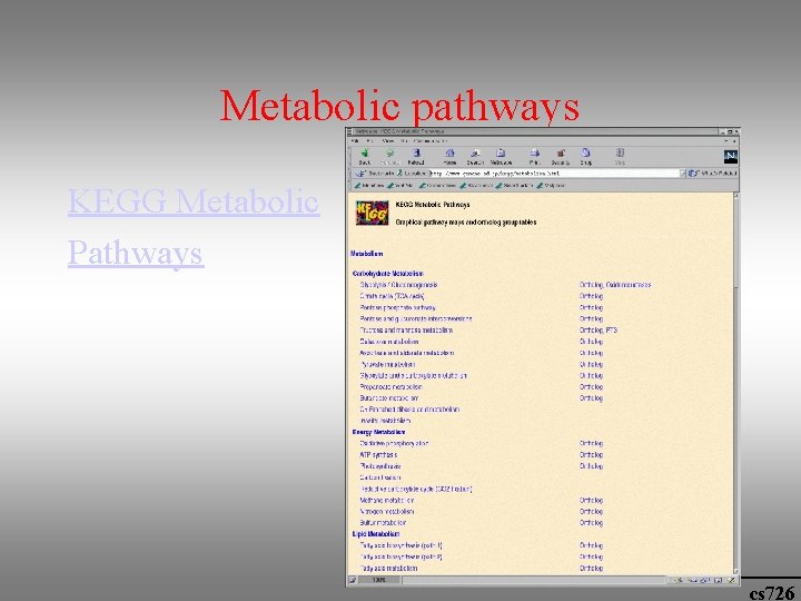 Metabolic pathways KEGG Metabolic Pathways cs 726 