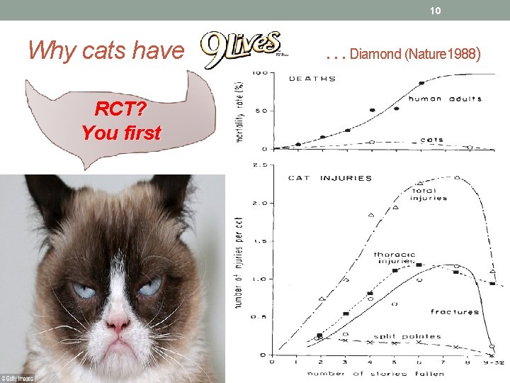 10 Why cats have RCT? You first …Diamond (Nature 1988) 