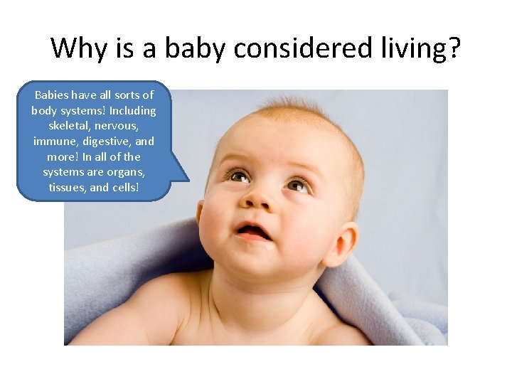 Why is a baby considered living? Babies have all sorts of body systems! Including