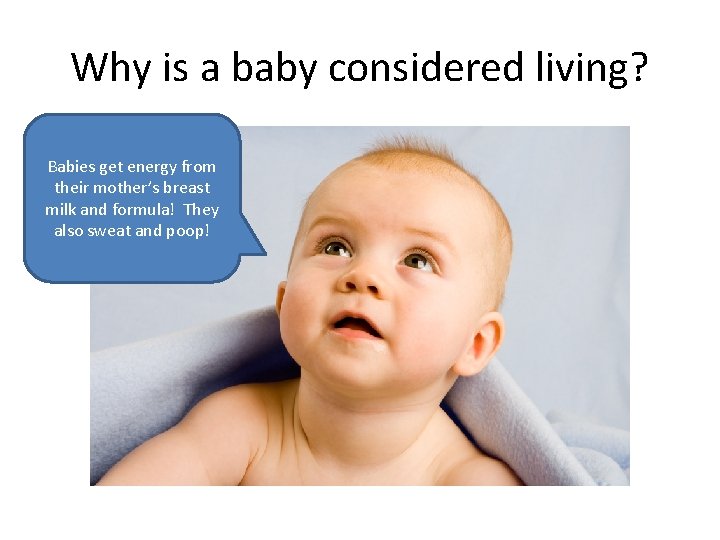 Why is a baby considered living? Babies get energy from their mother’s breast milk