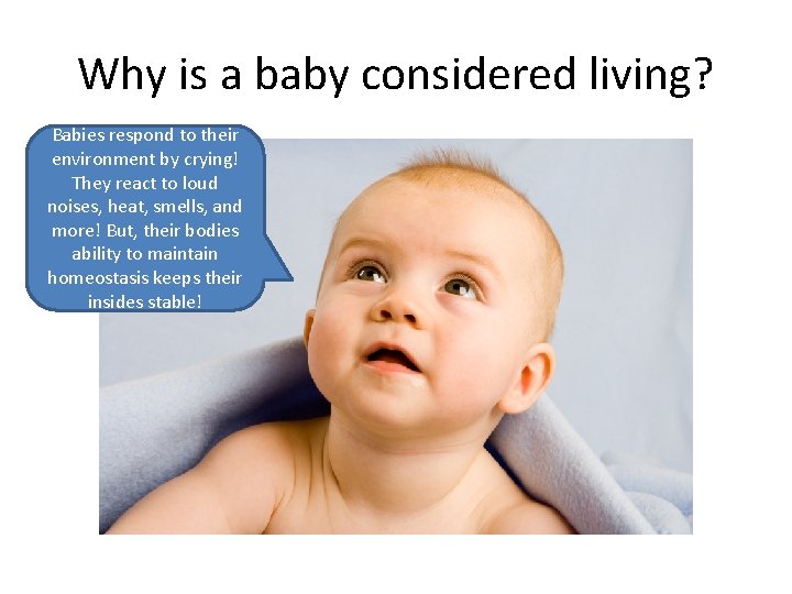 Why is a baby considered living? Babies respond to their environment by crying! They