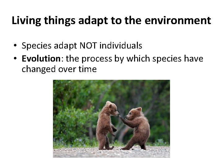 Living things adapt to the environment • Species adapt NOT individuals • Evolution: the