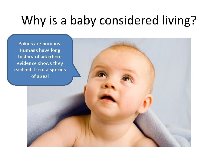 Why is a baby considered living? Babies are humans! Humans have long history of