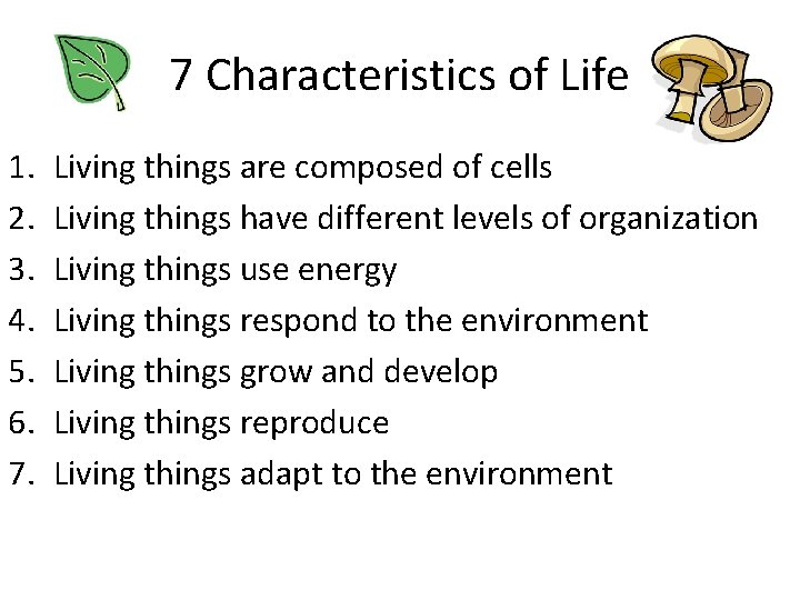 7 Characteristics of Life 1. 2. 3. 4. 5. 6. 7. Living things are
