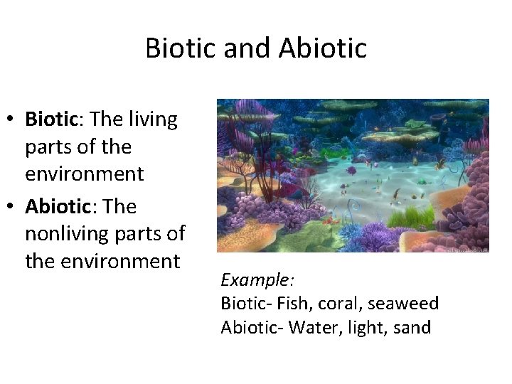 Biotic and Abiotic • Biotic: The living parts of the environment • Abiotic: The