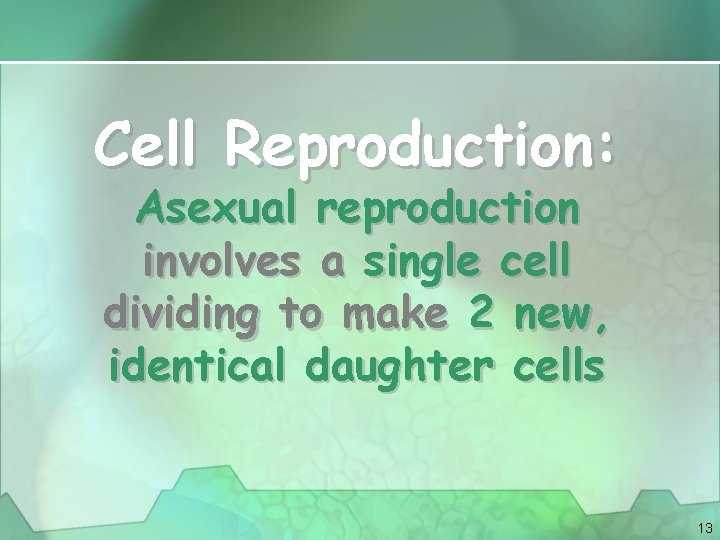 Cell Reproduction: Asexual reproduction involves a single cell dividing to make 2 new, identical