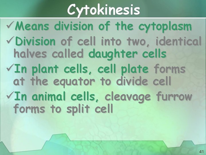 Cytokinesis üMeans division of the cytoplasm üDivision of cell into two, identical halves called