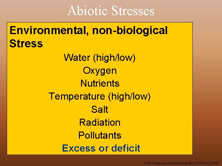 Abiotic Stresses Environmental, non-biological Stress Water (high/low) Oxygen Nutrients Temperature (high/low) Salt Radiation Pollutants