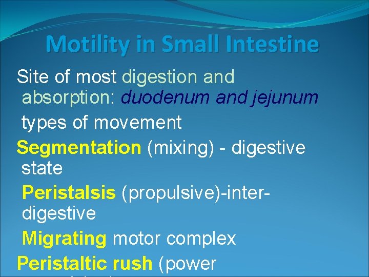 Motility in Small Intestine Site of most digestion and absorption: duodenum and jejunum types