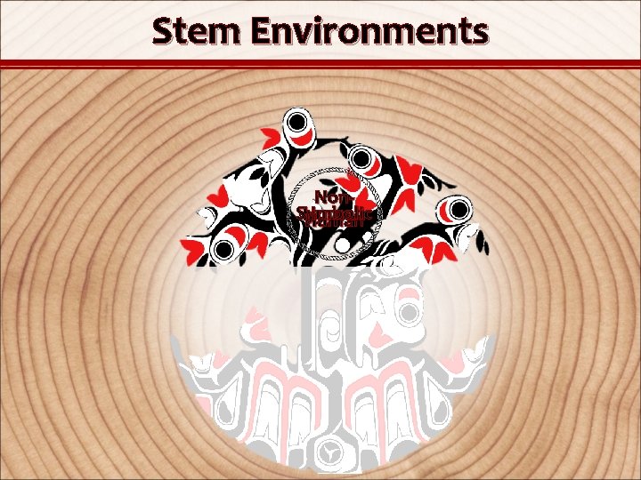 Stem Environments Non. Symbolic Human 