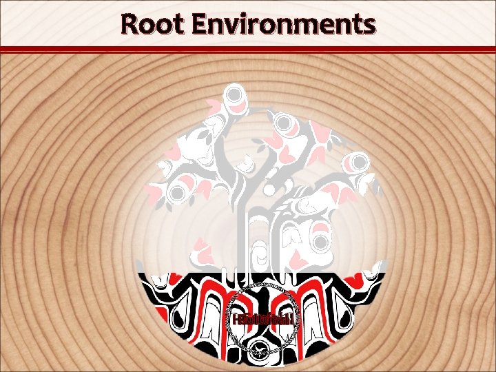 Root Environments Social Political Cultural Historical 