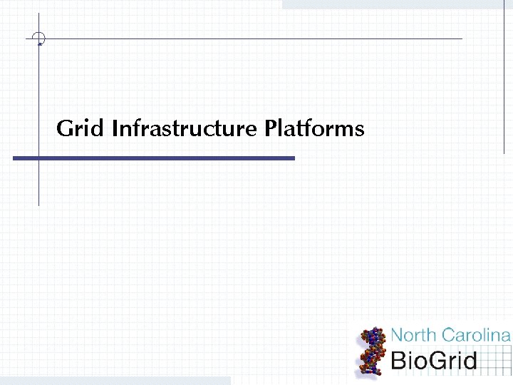 Grid Infrastructure Platforms 