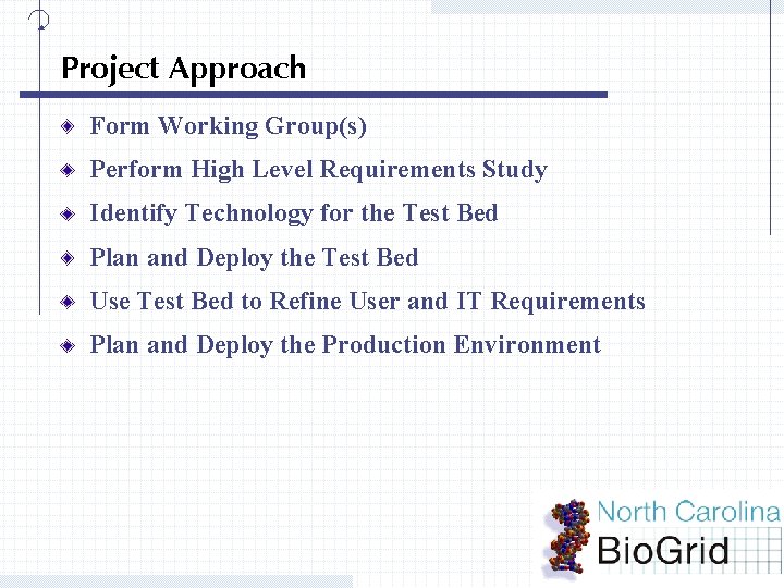 Project Approach Form Working Group(s) Perform High Level Requirements Study Identify Technology for the