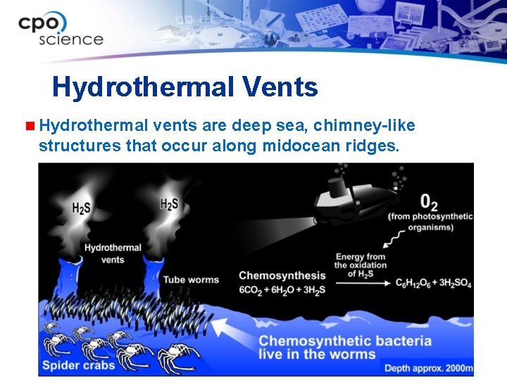 Hydrothermal Vents n Hydrothermal vents are deep sea, chimney-like structures that occur along midocean