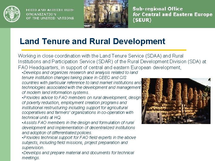 Land Tenure and Rural Development Working in close coordination with the Land Tenure Service