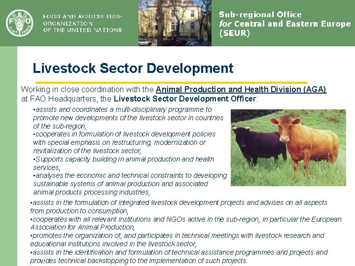 Livestock Sector Development Working in close coordination with the Animal Production and Health Division