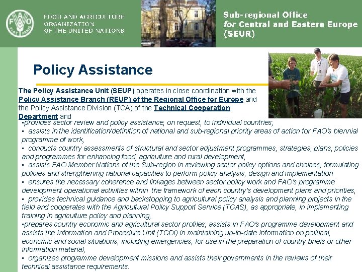 Policy Assistance The Policy Assistance Unit (SEUP) operates in close coordination with the Policy