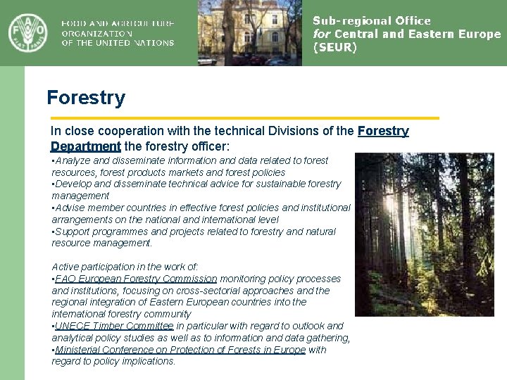 Forestry In close cooperation with the technical Divisions of the Forestry Department the forestry