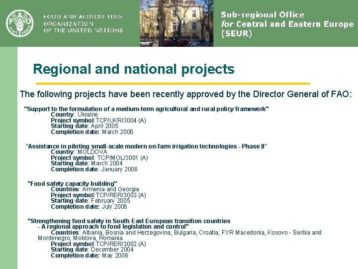 Regional and national projects The following projects have been recently approved by the Director