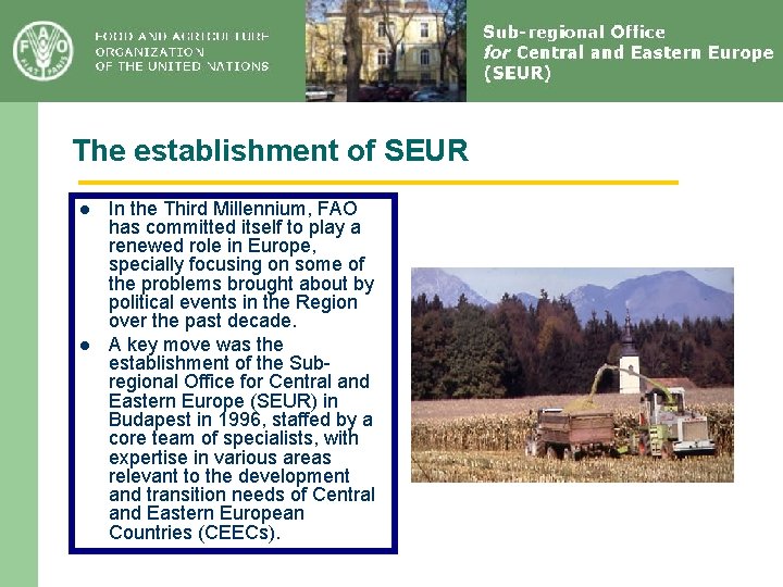 The establishment of SEUR l l In the Third Millennium, FAO has committed itself