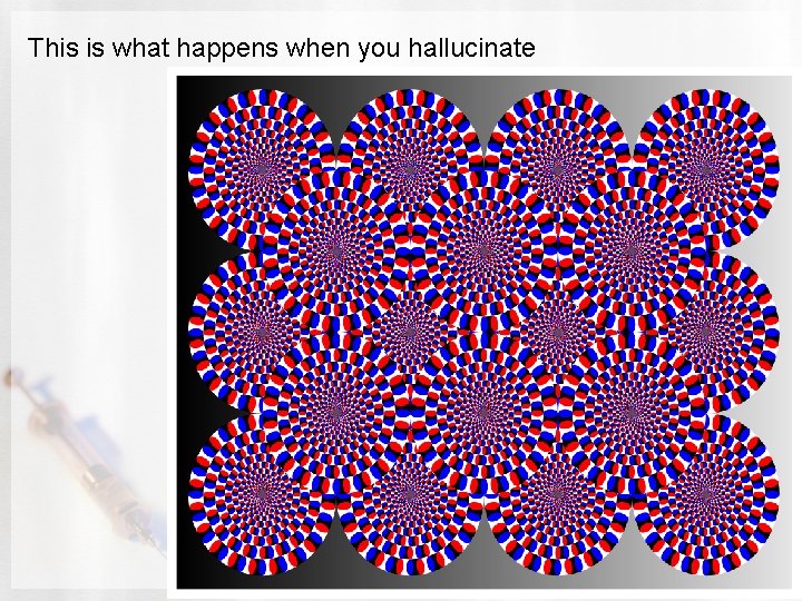 This is what happens when you hallucinate 