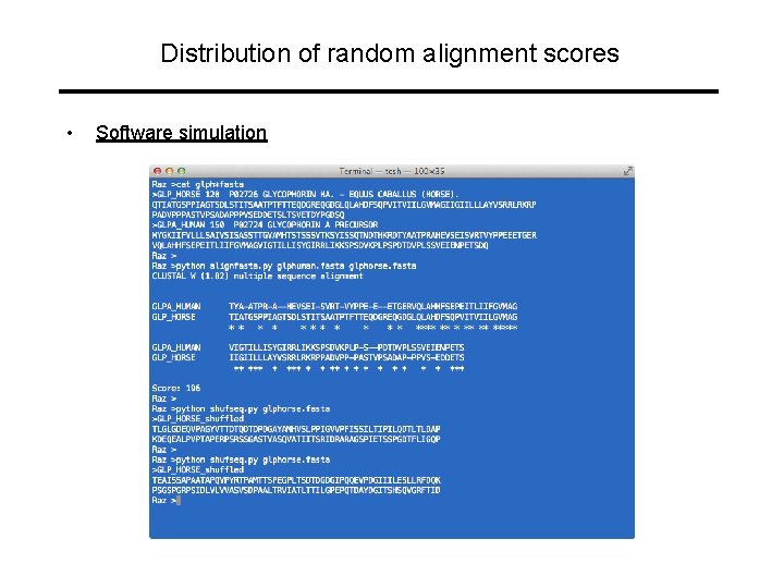 Distribution of random alignment scores • Software simulation 