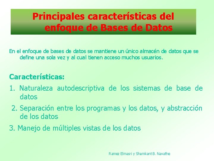 Principales características del enfoque de Bases de Datos En el enfoque de bases de