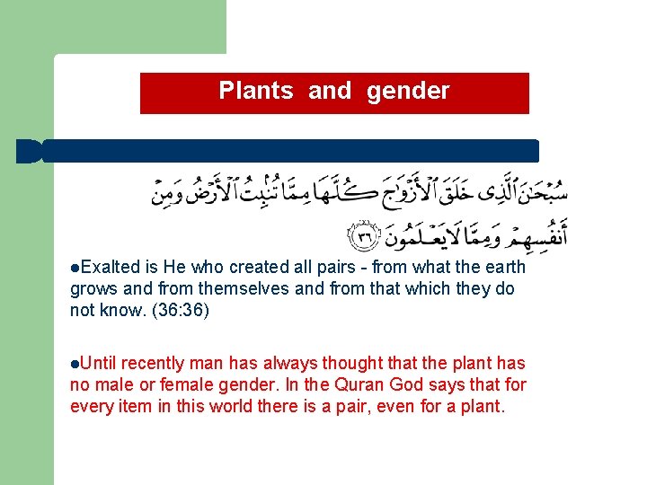 Plants and gender l. Exalted is He who created all pairs - from what