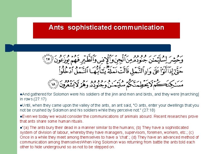 Ants sophisticated communication l. And gathered for Solomon were his soldiers of the jinn