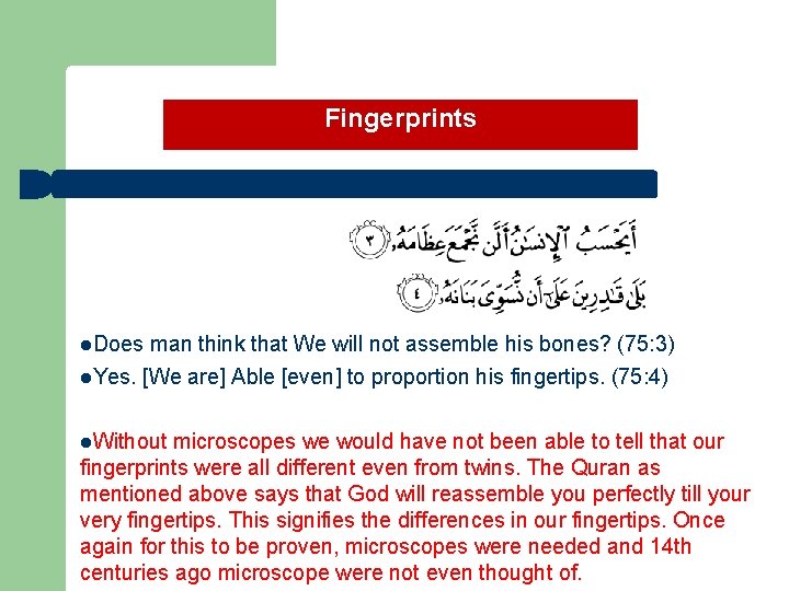 Fingerprints l. Does man think that We will not assemble his bones? (75: 3)