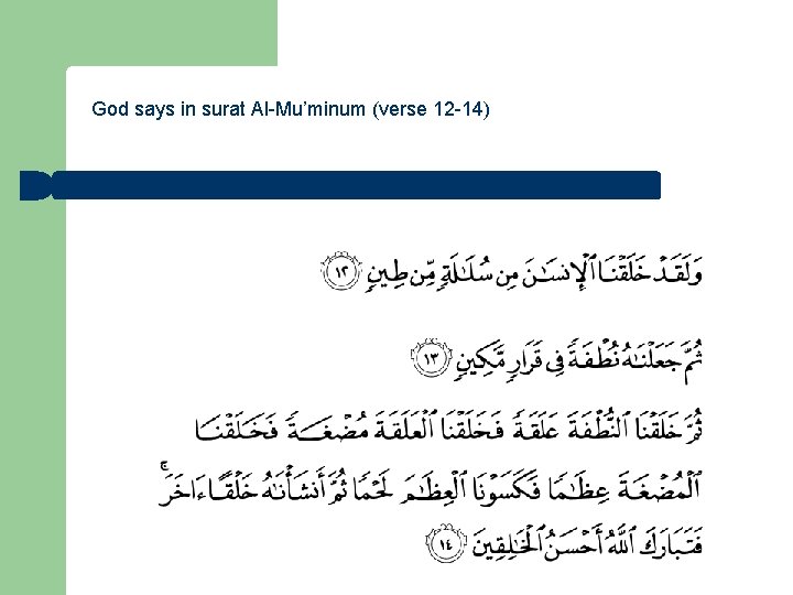 God says in surat Al-Mu’minum (verse 12 -14) 