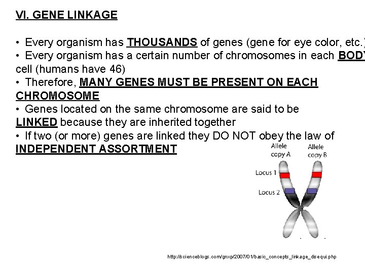 VI. GENE LINKAGE • Every organism has THOUSANDS of genes (gene for eye color,