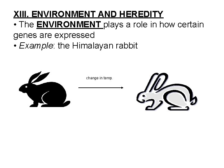 XIII. ENVIRONMENT AND HEREDITY • The ENVIRONMENT plays a role in how certain genes