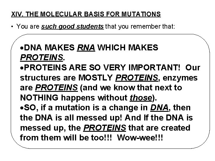 XIV. THE MOLECULAR BASIS FOR MUTATIONS • You are such good students that you