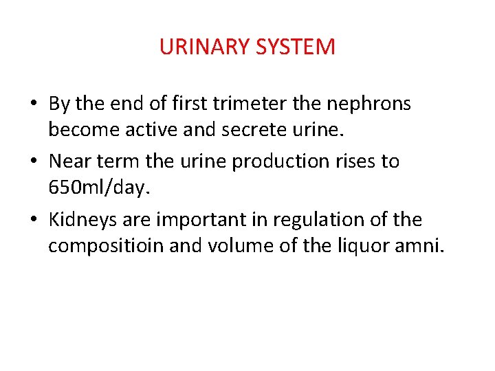 URINARY SYSTEM • By the end of first trimeter the nephrons become active and