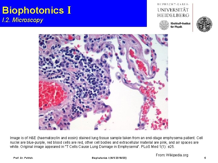 Biophotonics I I. 2. Microscopy Kirchhoff-Institut für Physik Image is of H&E (haematoxylin and