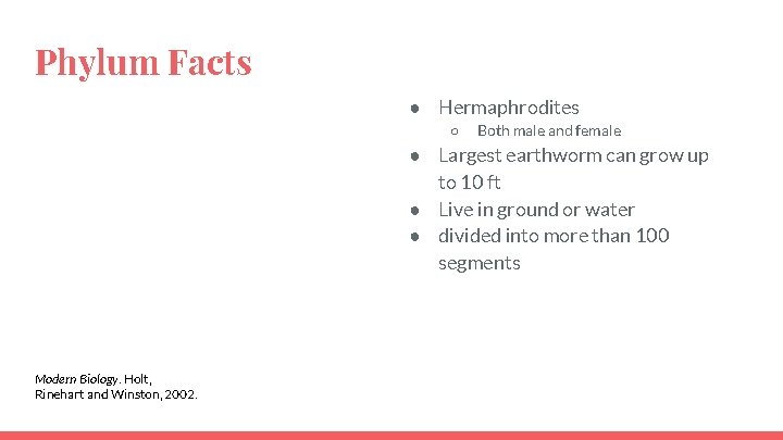 Phylum Facts ● Hermaphrodites ○ Both male and female ● Largest earthworm can grow