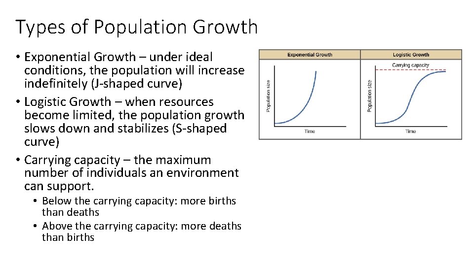 Types of Population Growth • Exponential Growth – under ideal conditions, the population will