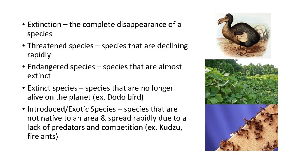  • Extinction – the complete disappearance of a species • Threatened species –