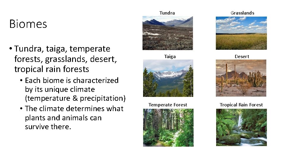 Biomes • Tundra, taiga, temperate forests, grasslands, desert, tropical rain forests • Each biome