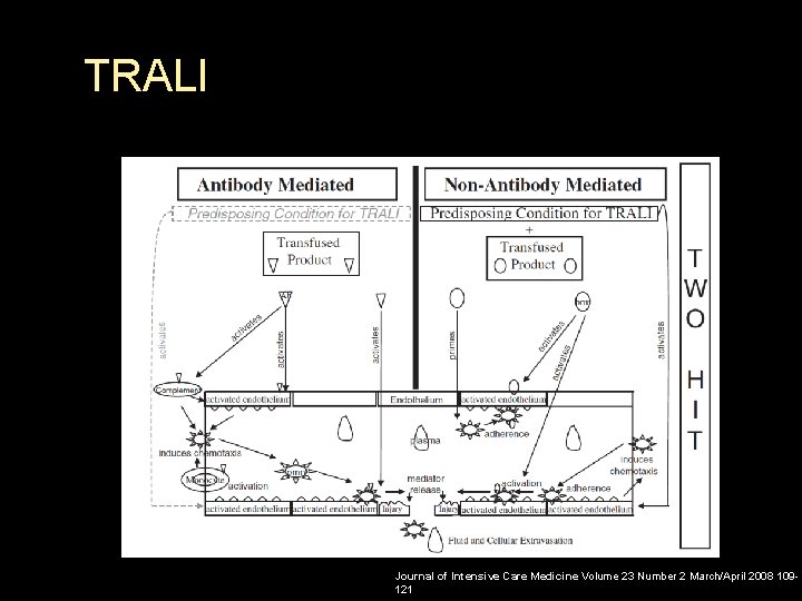 TRALI Journal of Intensive Care Medicine Volume 23 Number 2 March/April 2008 109121 