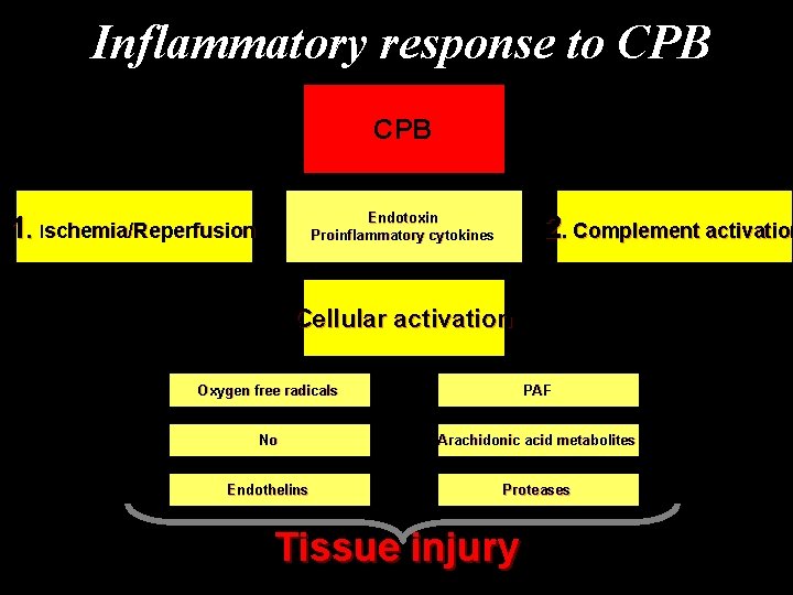 Inflammatory response to CPB 1. Ischemia/Reperfusion 2. Complement activation Endotoxin Proinflammatory cytokines Cellular activation