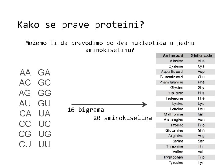 Kako se prave proteini? Možemo li da prevodimo po dva nukleotida u jednu aminokiselinu?