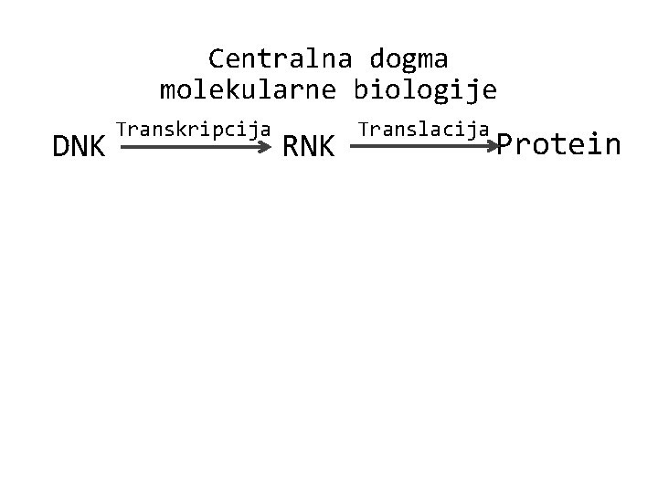 Centralna dogma molekularne biologije DNK Transkripcija RNK Translacija Protein 