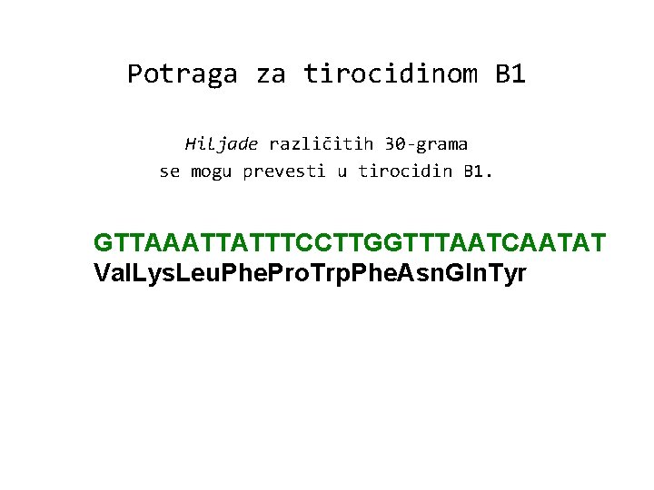 Potraga za tirocidinom B 1 Hiljade različitih 30 -grama se mogu prevesti u tirocidin