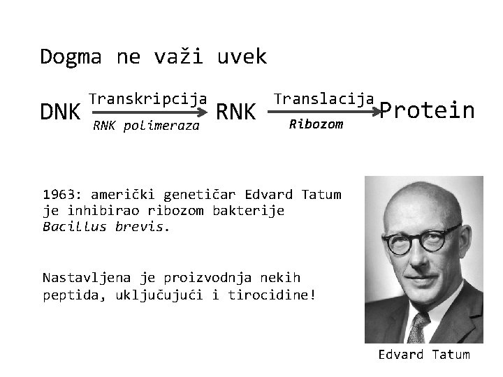 Dogma ne važi uvek DNK Transkripcija RNK polimeraza RNK Translacija Ribozom Protein 1963: američki